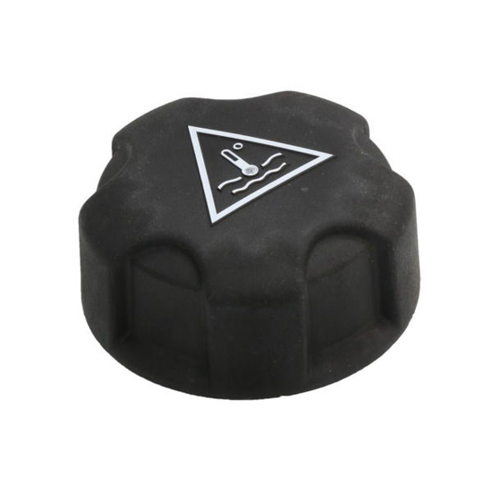 تصویر از درب منبع انبساط 206 YELKEN