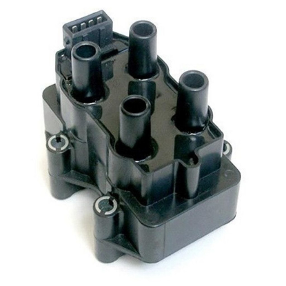 تصویر از کویل 405 ساژم FRANCO