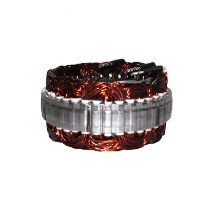 تصویر از استاتور (بالشتک) دینام 206 GISP