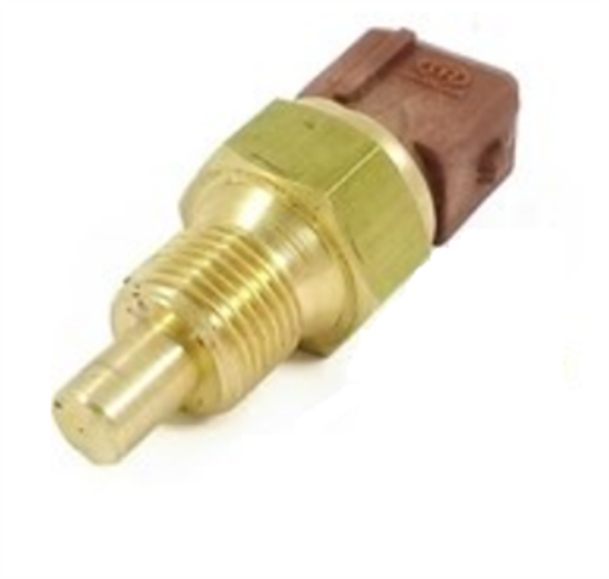 تصویر از فشنگی دمای آب 405 دو فیش قهوه ای سامفر